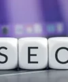 What is SEO