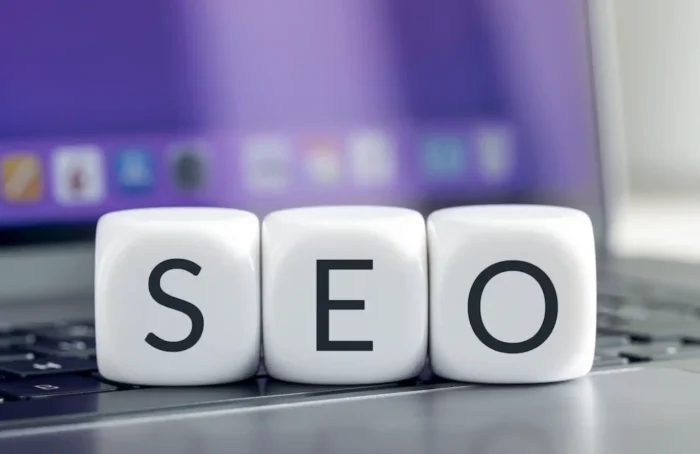 What is SEO